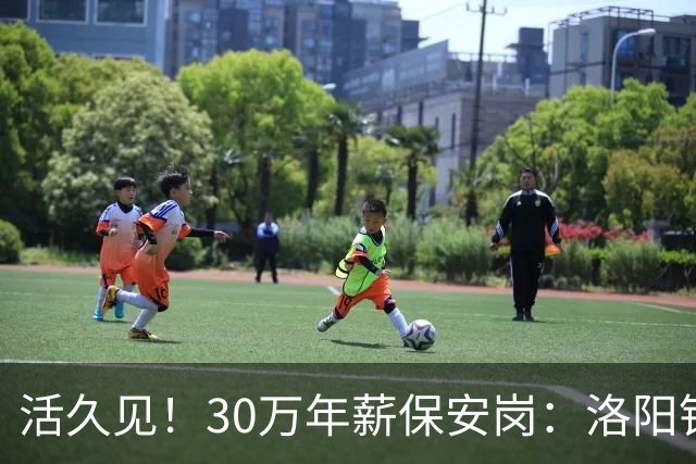 活久见！30万年薪保安岗：洛阳钼业招100名驻外安保，地点刚果金，评论彻底沸腾